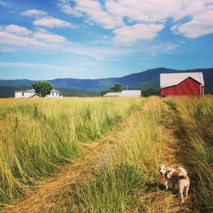 Madeline Farms Villa Luray Kültér fotó