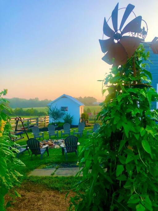 Madeline Farms Villa Luray Kültér fotó