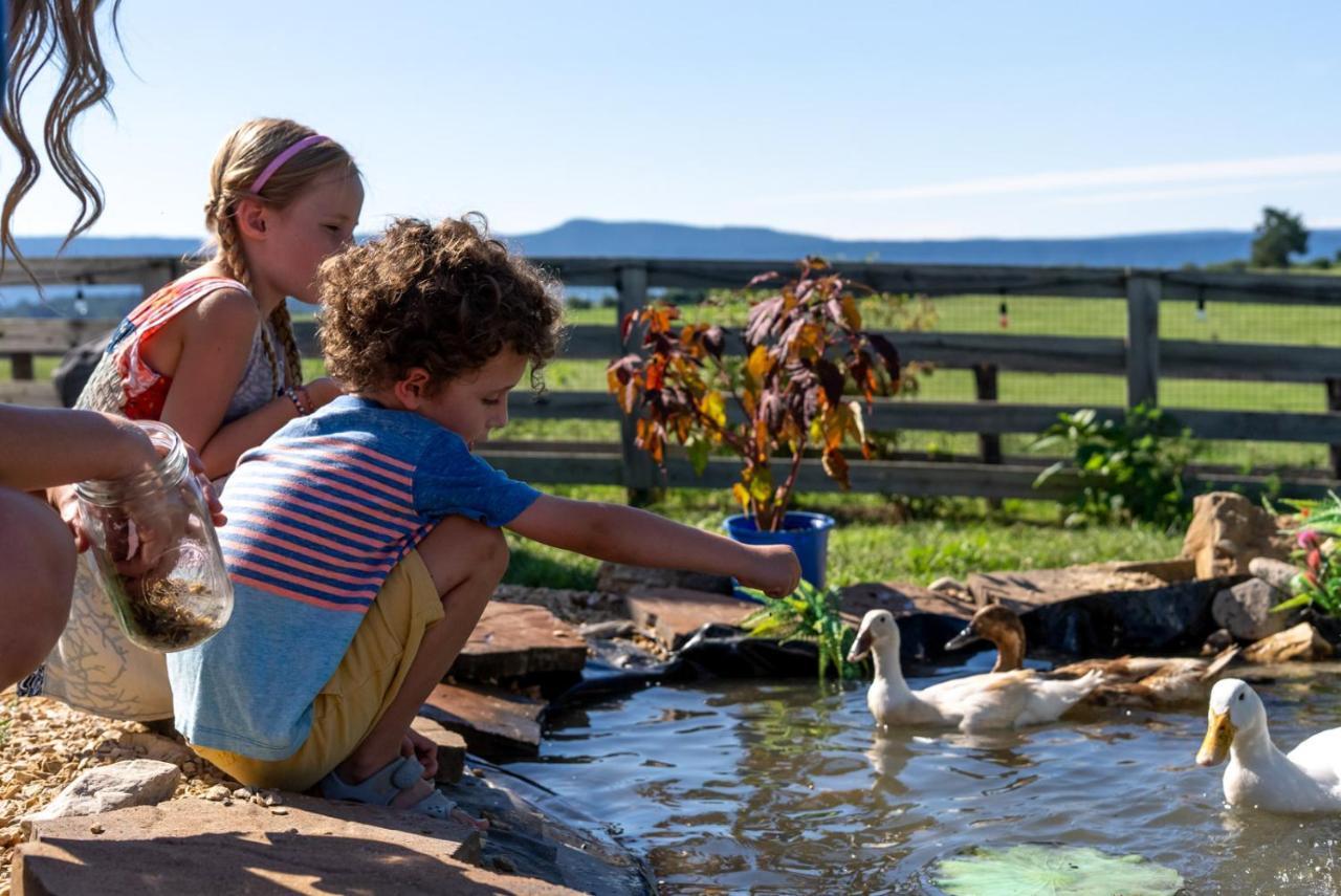 Madeline Farms Villa Luray Kültér fotó