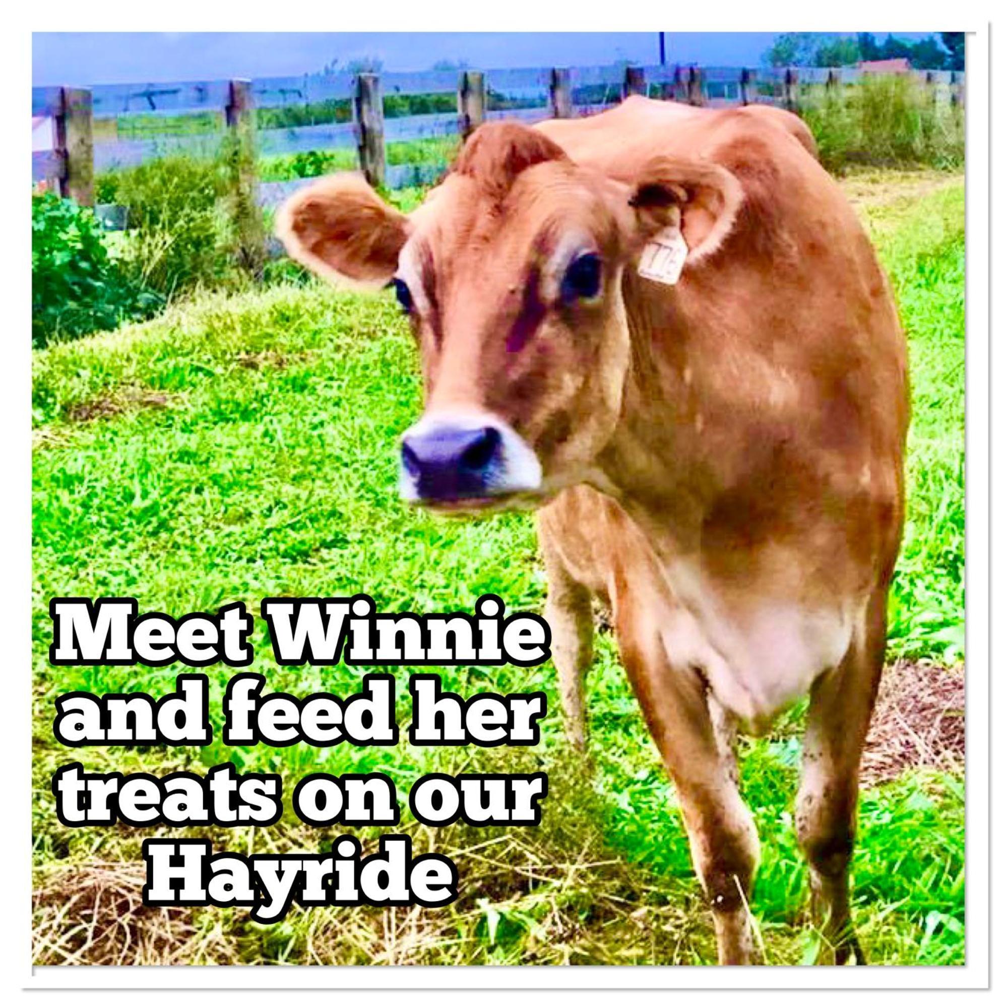 Madeline Farms Villa Luray Kültér fotó