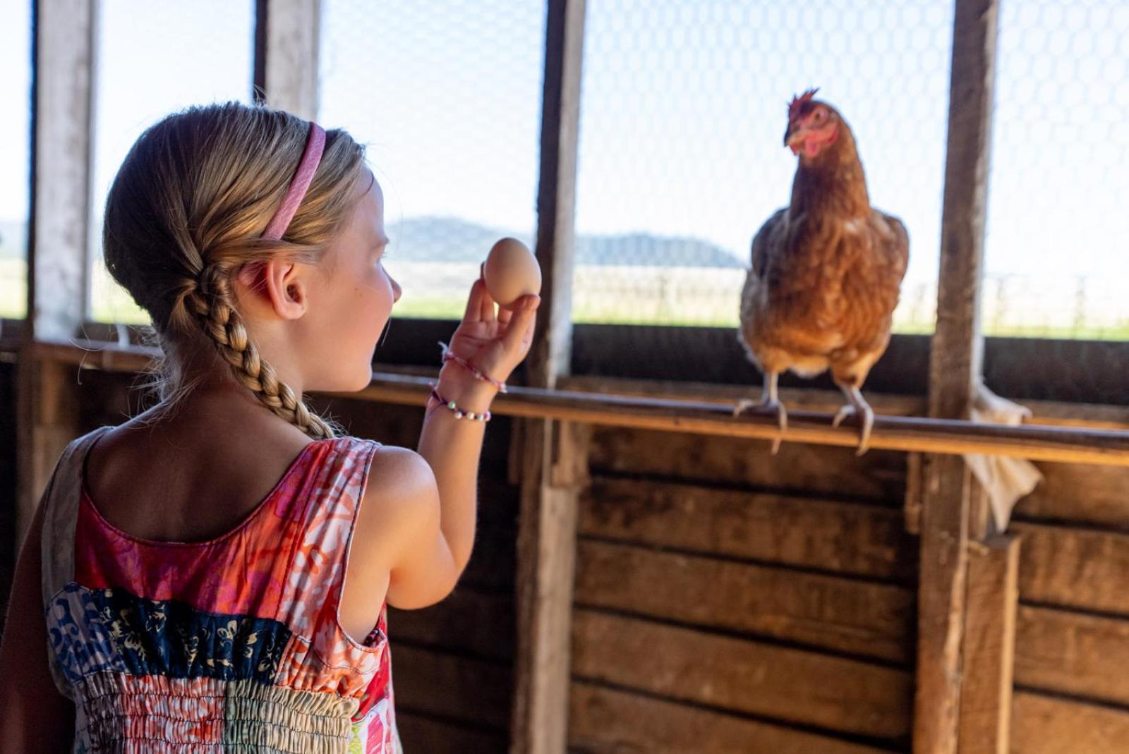 Madeline Farms Villa Luray Kültér fotó