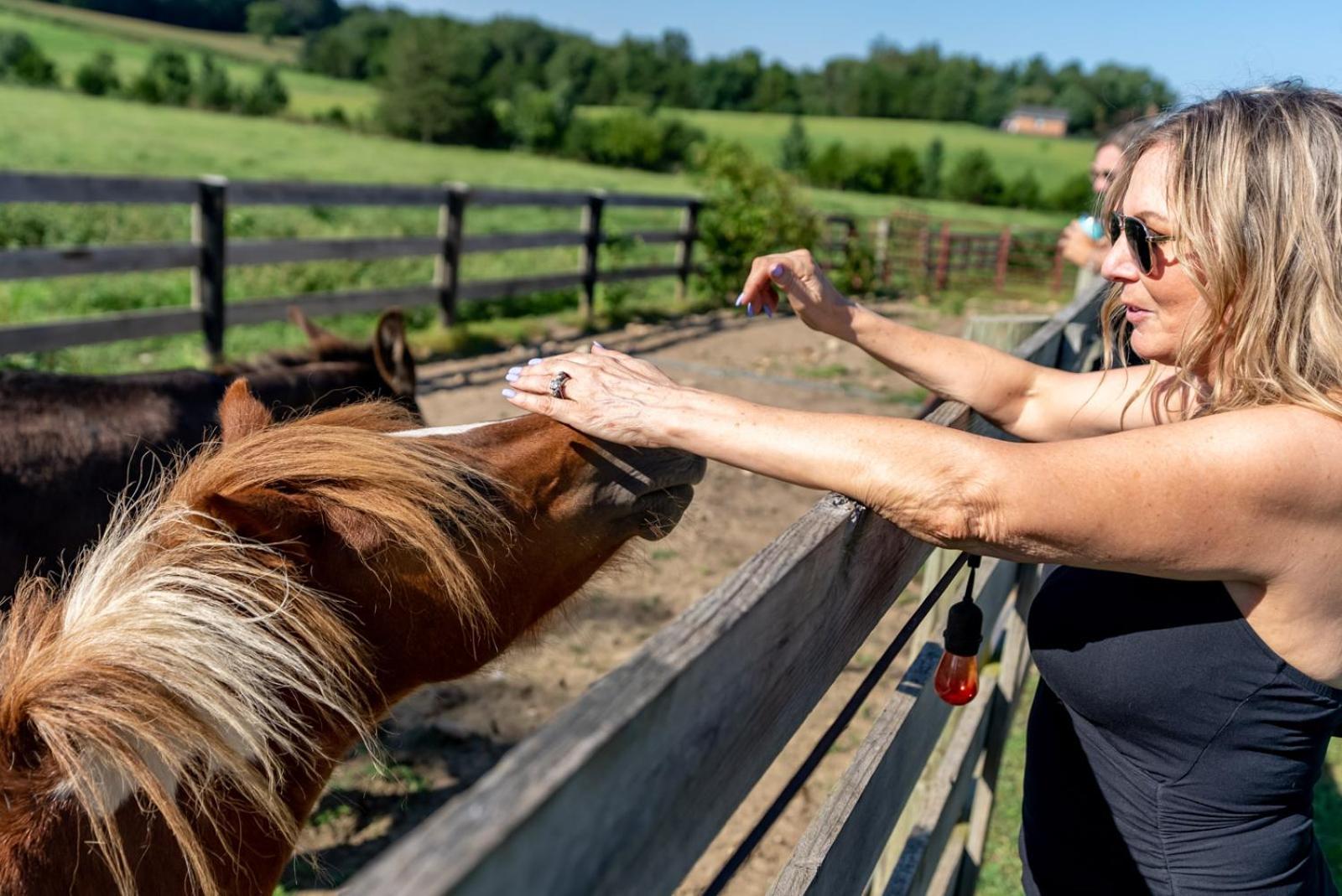Madeline Farms Villa Luray Kültér fotó