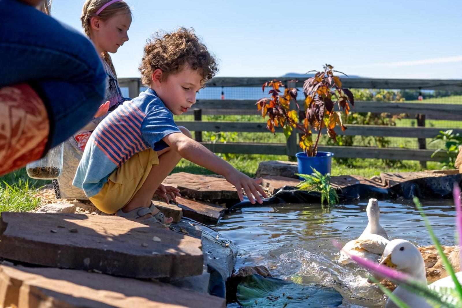 Madeline Farms Villa Luray Kültér fotó