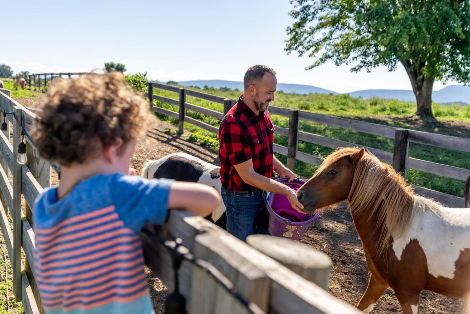 Madeline Farms Villa Luray Kültér fotó